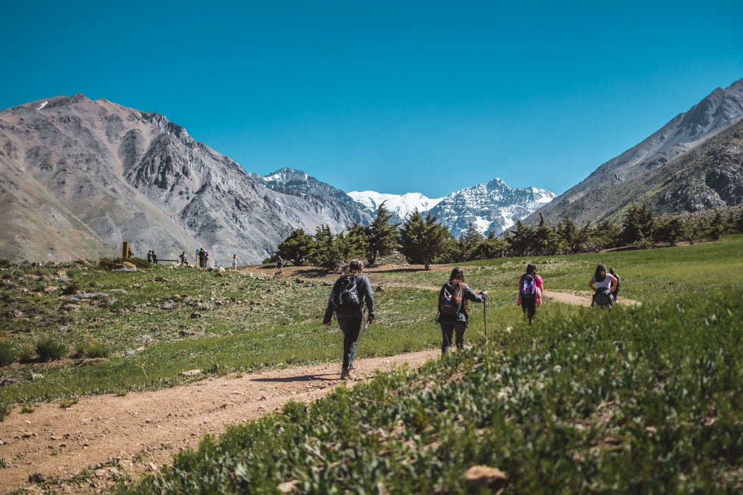 Wild Trips: Tipos de viaje que todo Wild debe hacer una vez en su vida
