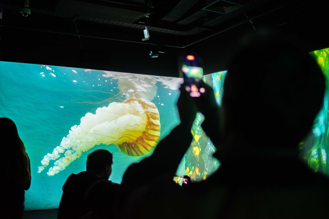 Exposición “Atacama: Océano vivo” de César Villarroel