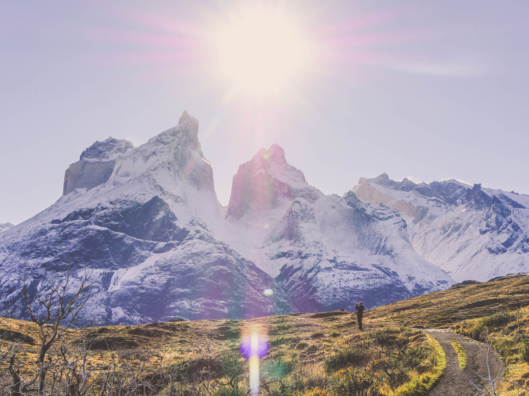Parques nacionales: Chile natural