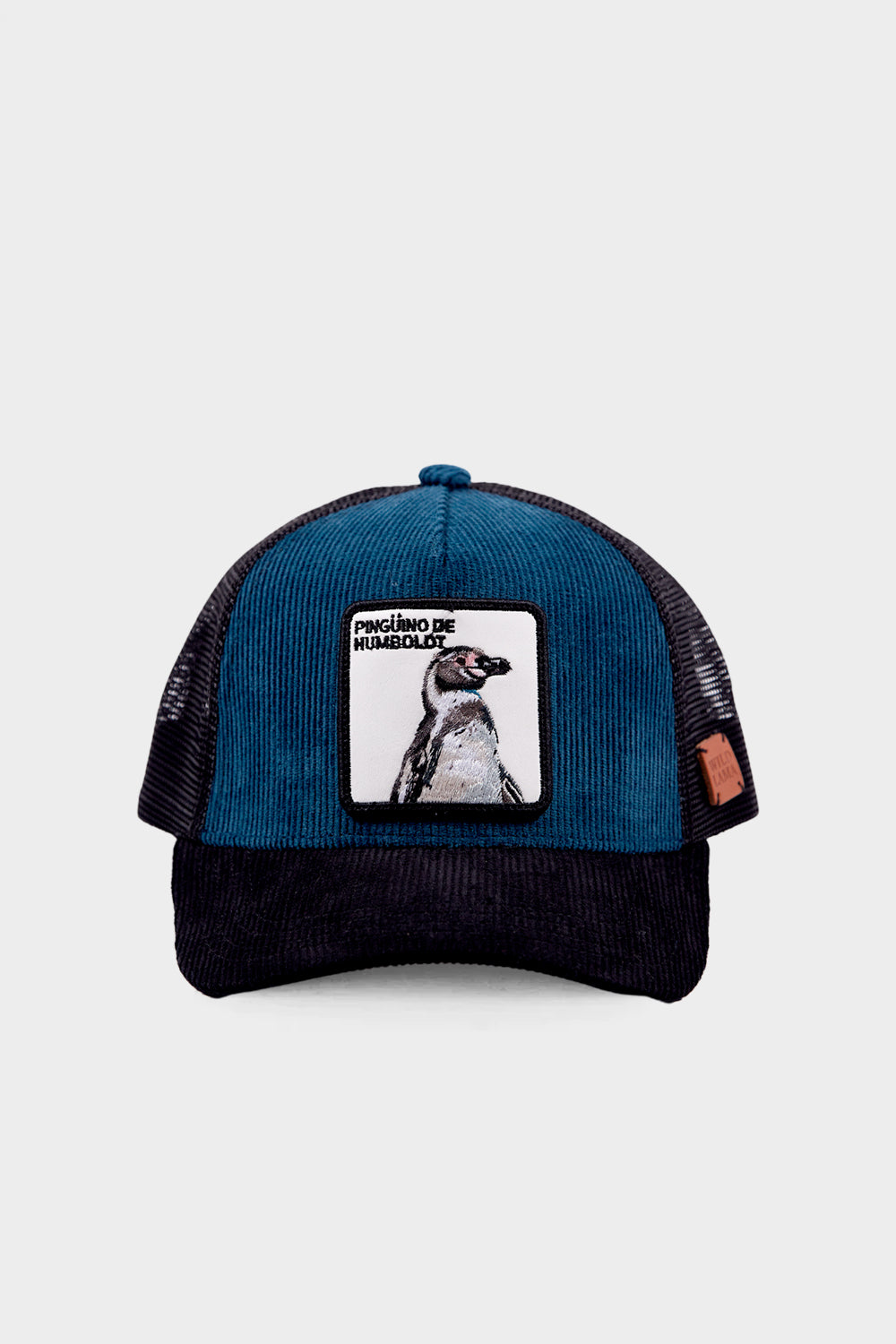 Jockey Pingüino Algodón Orgánico Petróleo Kids