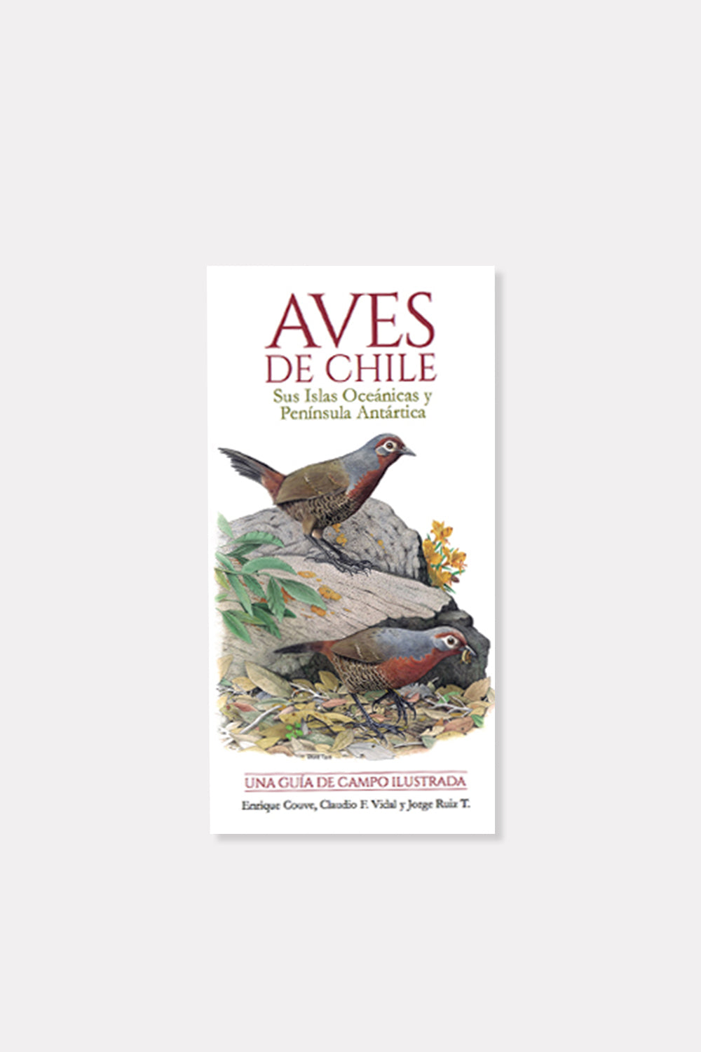 Libro "Aves de Chile de Couvé"