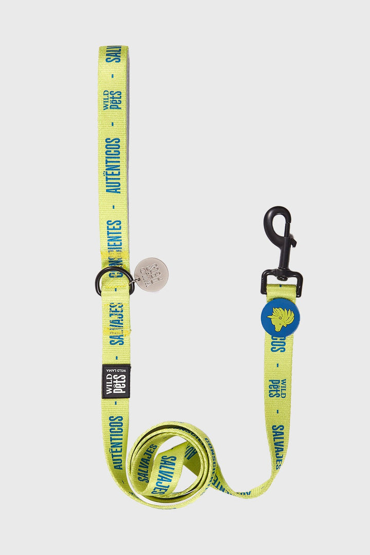 Correa Toto Reciclado Verde Talla L