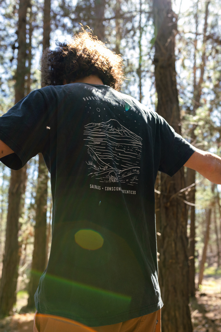 Polera Terra Orgánica Negra Hombre