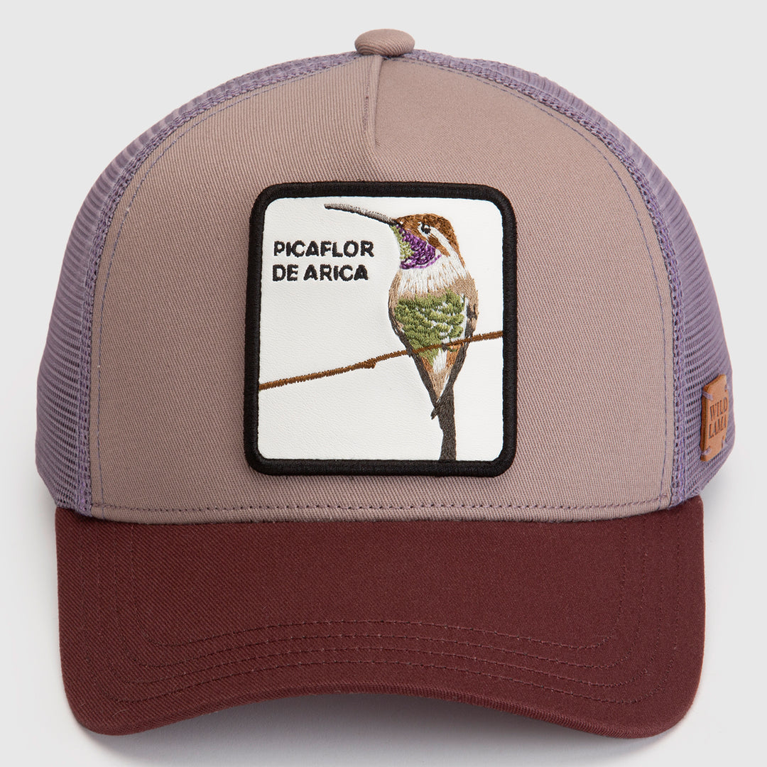 Jockey Picaflor Orgánico Lila