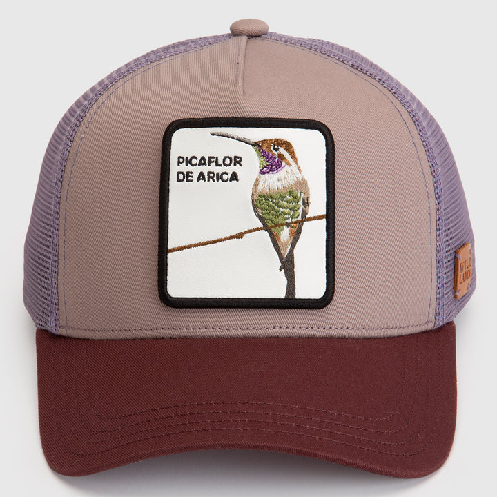 Jockey Picaflor Orgánico Lila