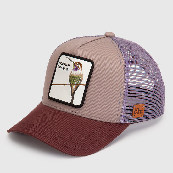 Jockey Picaflor Orgánico Lila