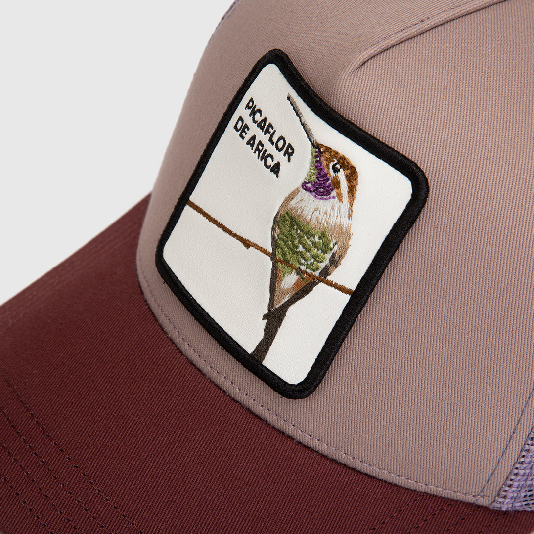 Jockey Picaflor Orgánico Lila