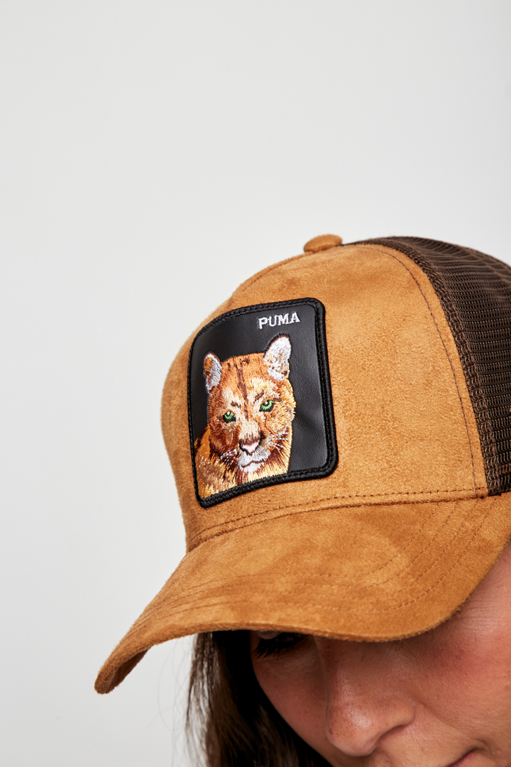 New Jockey Puma Con Causa Café Gamuza