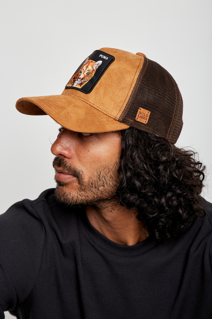 New Jockey Puma Con Causa Café Gamuza