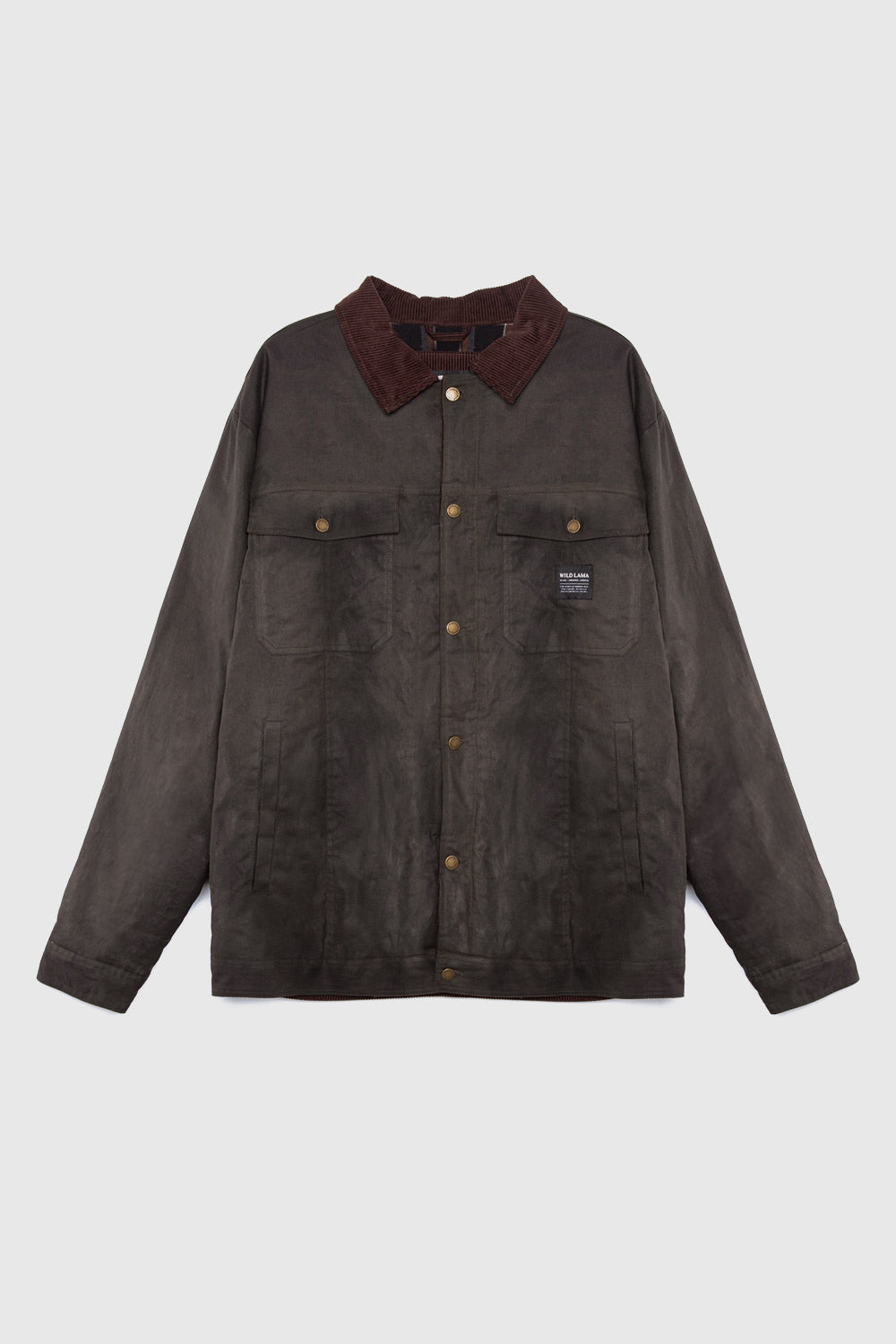 Chaqueta Regent Orgánica Verde Hombre