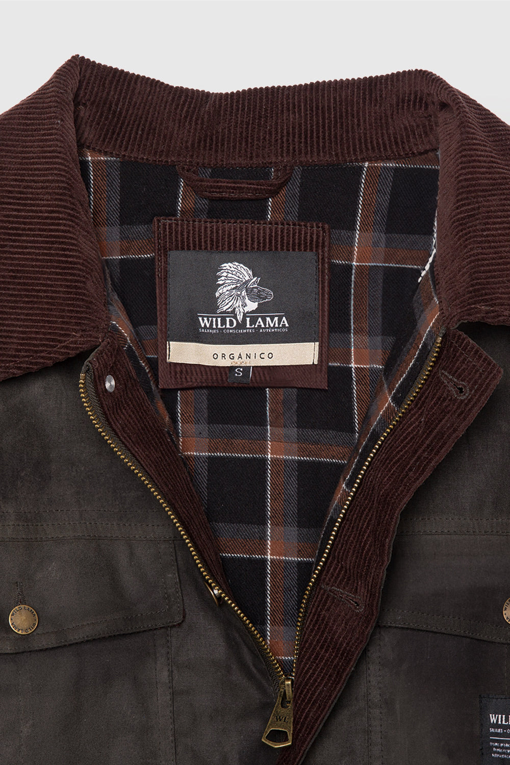 Chaqueta Regent Orgánica Verde Hombre