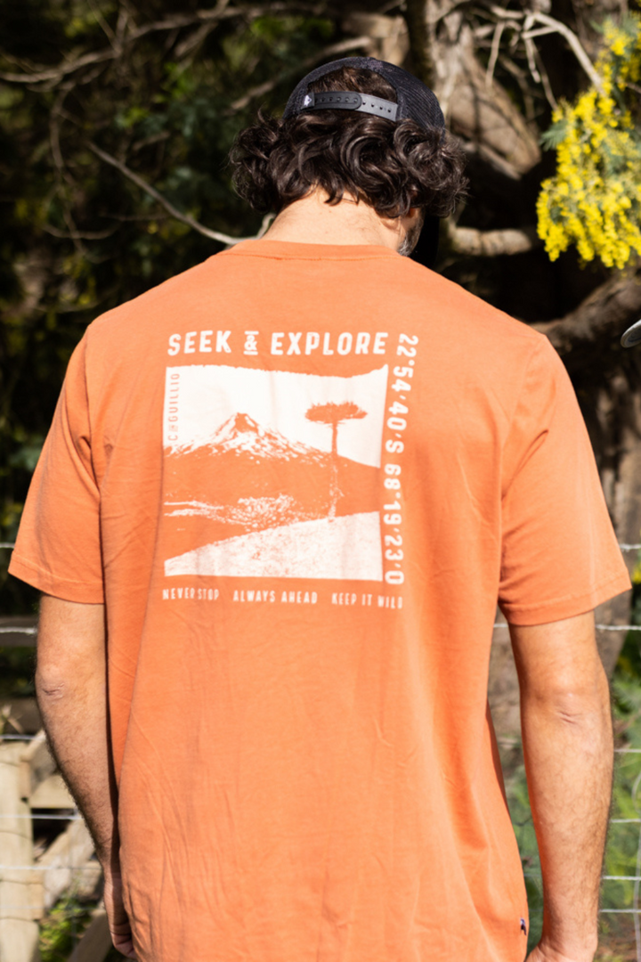 Polera Tepa Orgánica Terracota Hombre