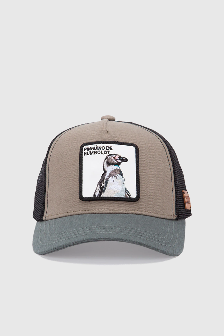 Jockey Kids Pingüino Orgánico Gris y Azul Espiga