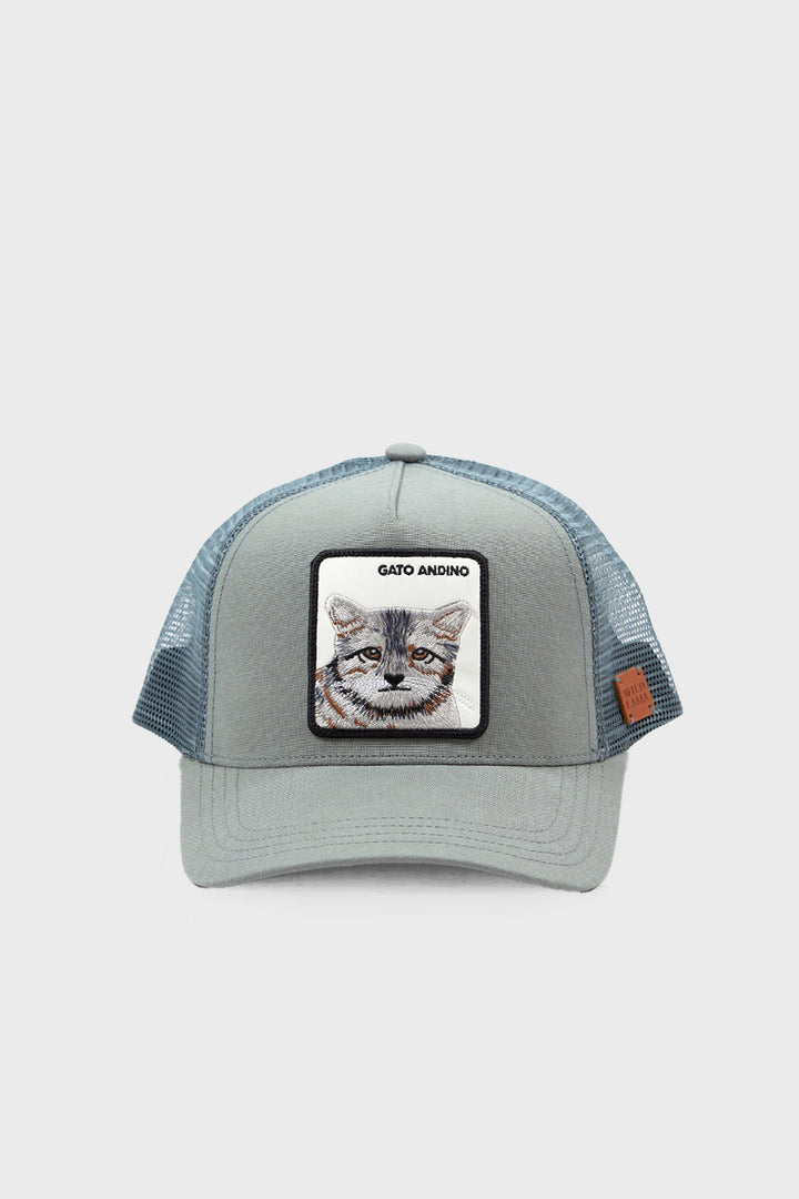 Jockey Gato Andino Lino Aqua | Wild Lama