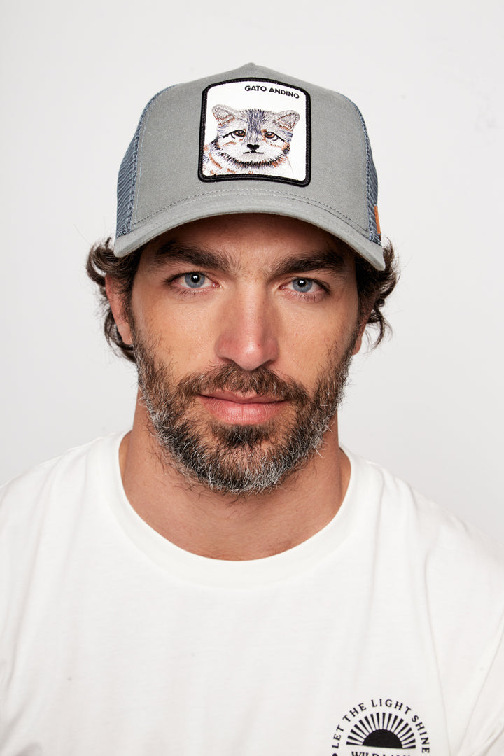 Jockey Gato Andino Lino Aqua | Wild Lama