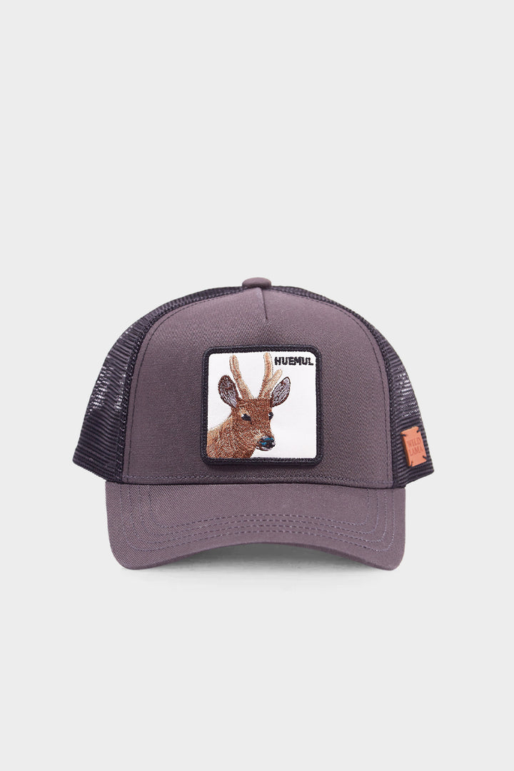 Jockey Huemul Gris Kids | Wild Lama