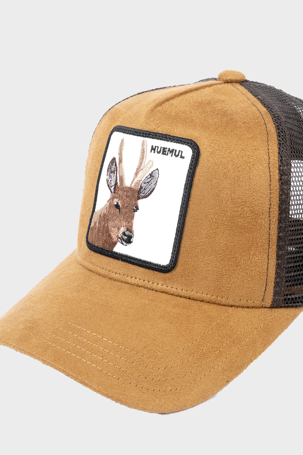 Jockey Huemul Suede Camel | Wild Lama