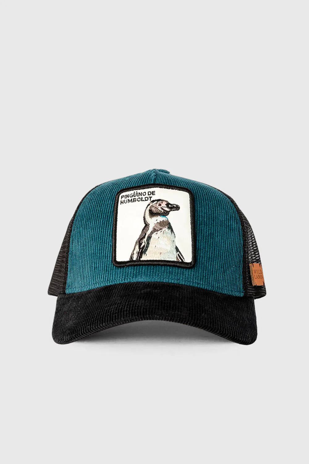 Jockey Pingüino de Humboldt Cotelé Petróleo