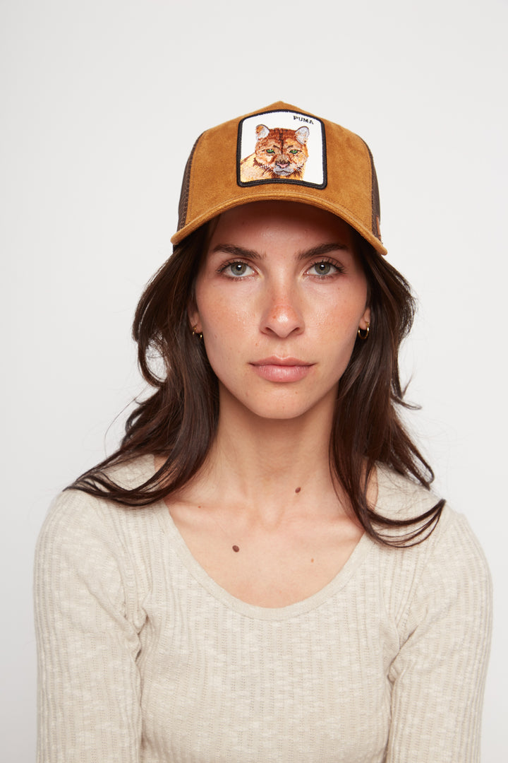 Jockey Puma Con Causa Gamuza Café