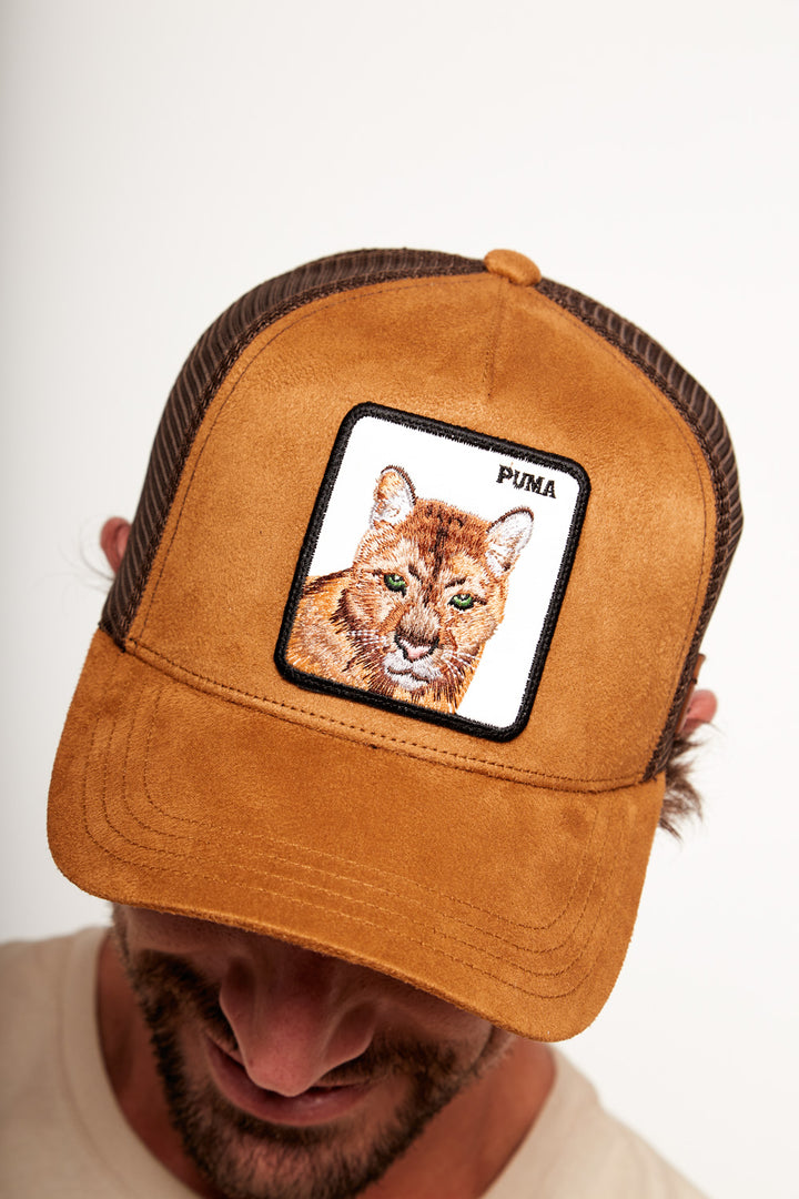 Jockey Puma Con Causa Gamuza Café