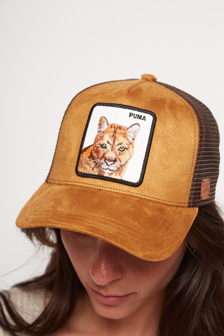 Jockey Puma Con Causa Gamuza Café