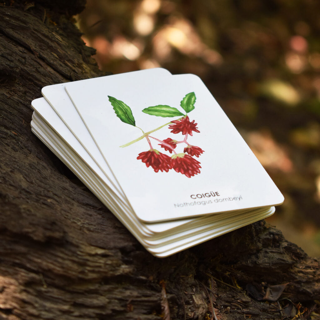 Nativos - Arboles Chilenos para recordar