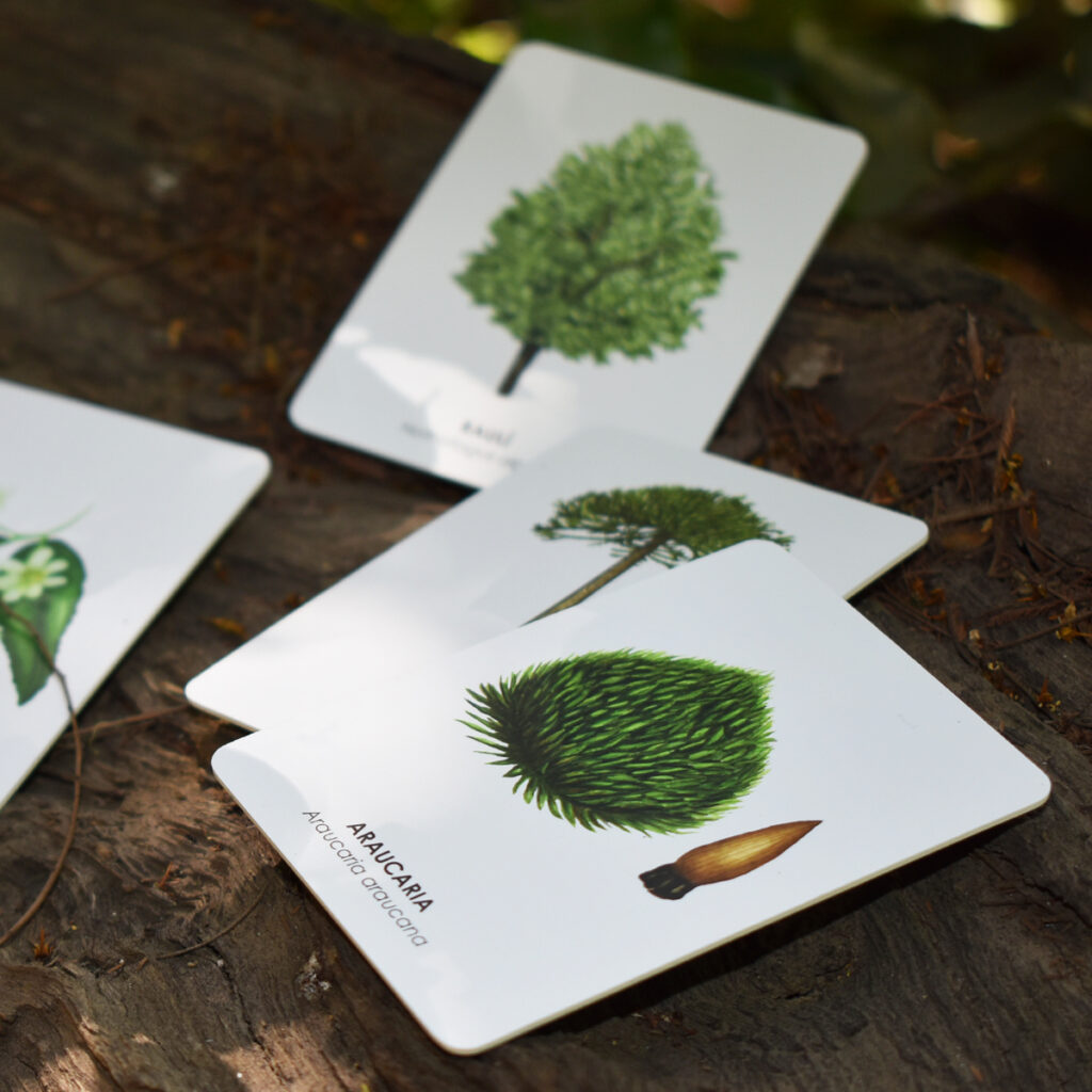 Nativos - Arboles Chilenos para recordar