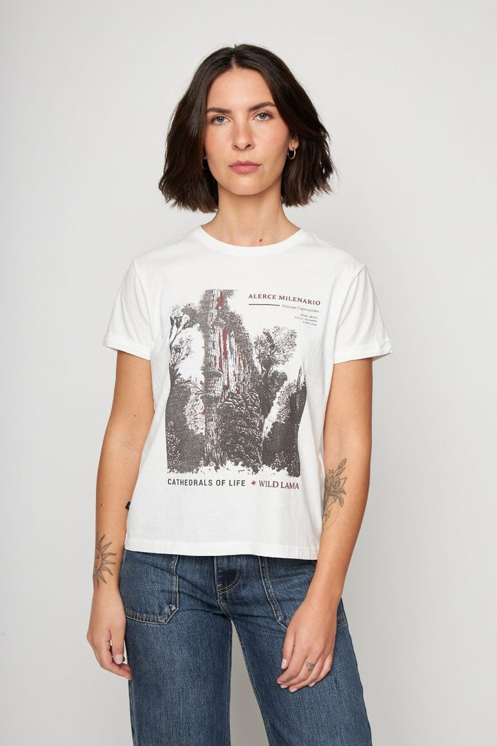 Polera Mira Orgánica Beige Mujer