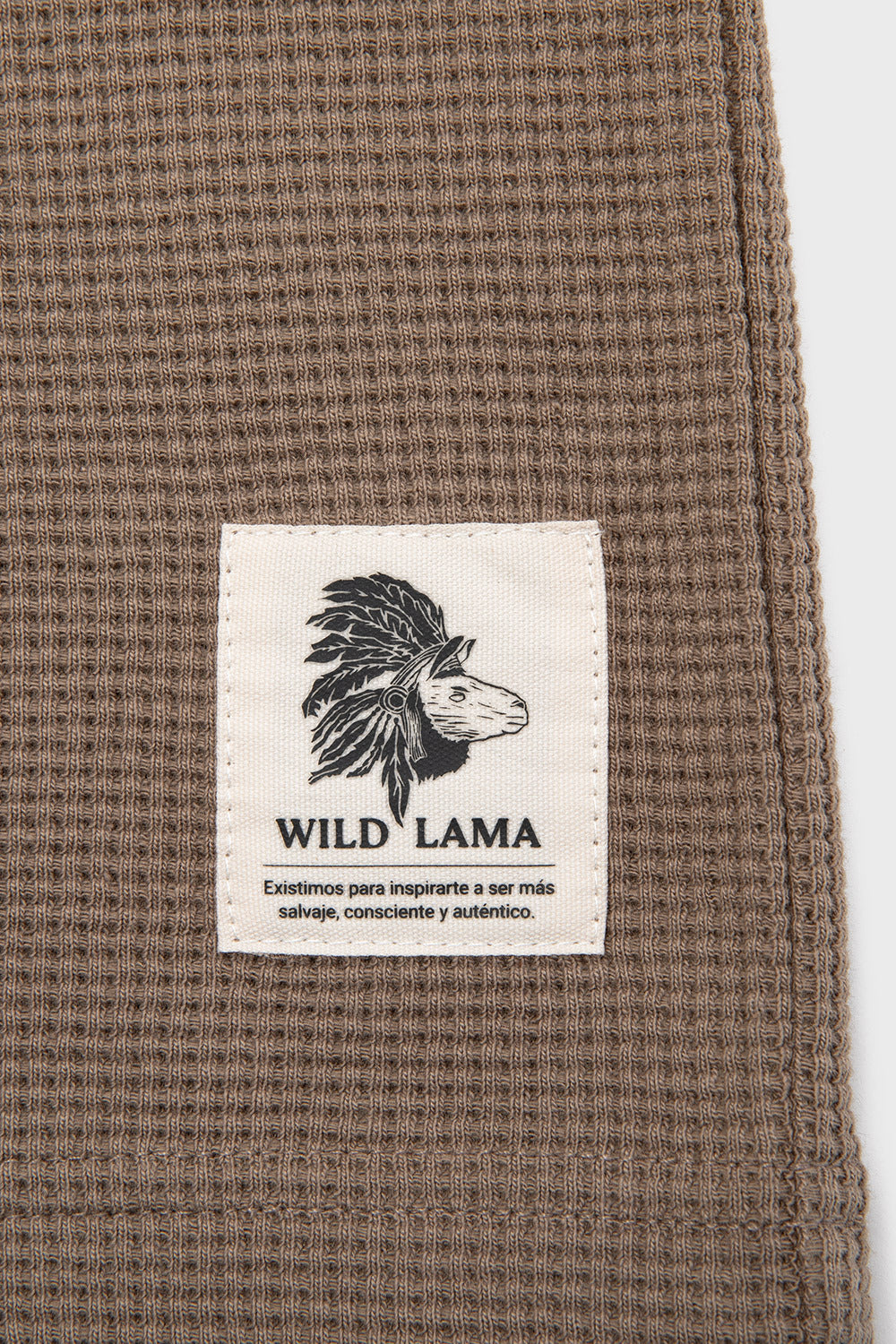 Polera Pater Orgánica Café Hombre