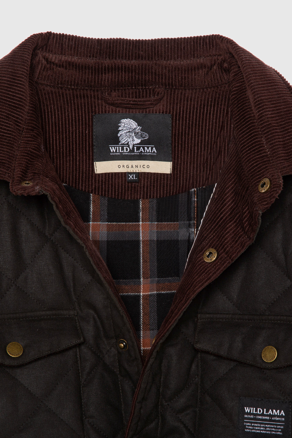 Chaqueta Veck LS Orgánica Verde Hombre