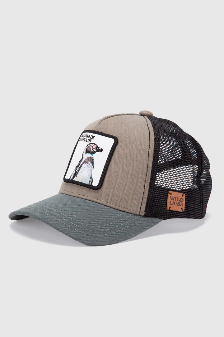 Jockey Kids Pingüino Orgánico Gris y Azul Espiga