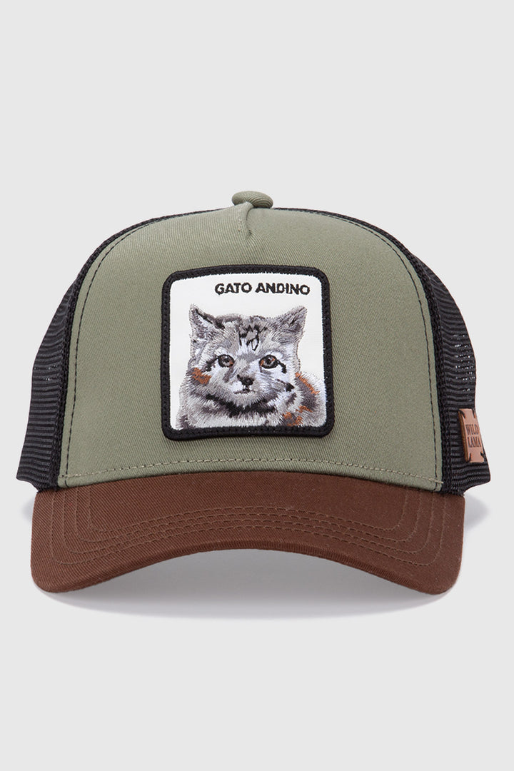 Jockey Kids Gato Andino Orgánico Verde