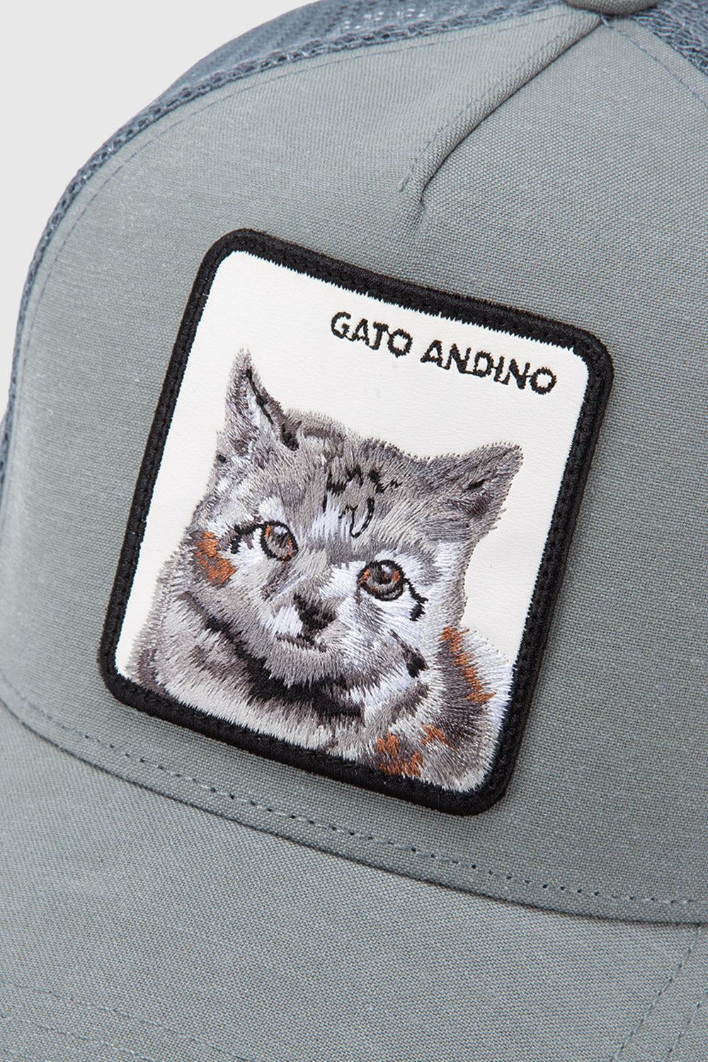 Jockey Gato Andino Fibra de Origen Natural Aqua Lino