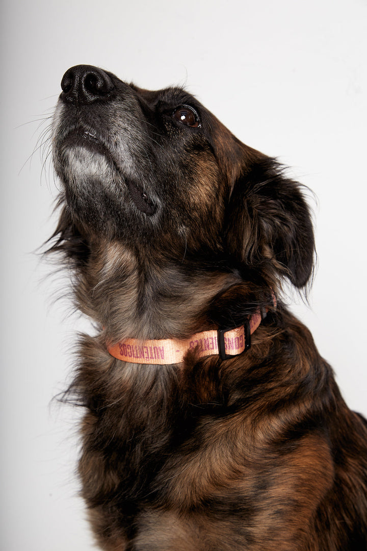 Collar Golfo Reciclado Naranjo Talla M