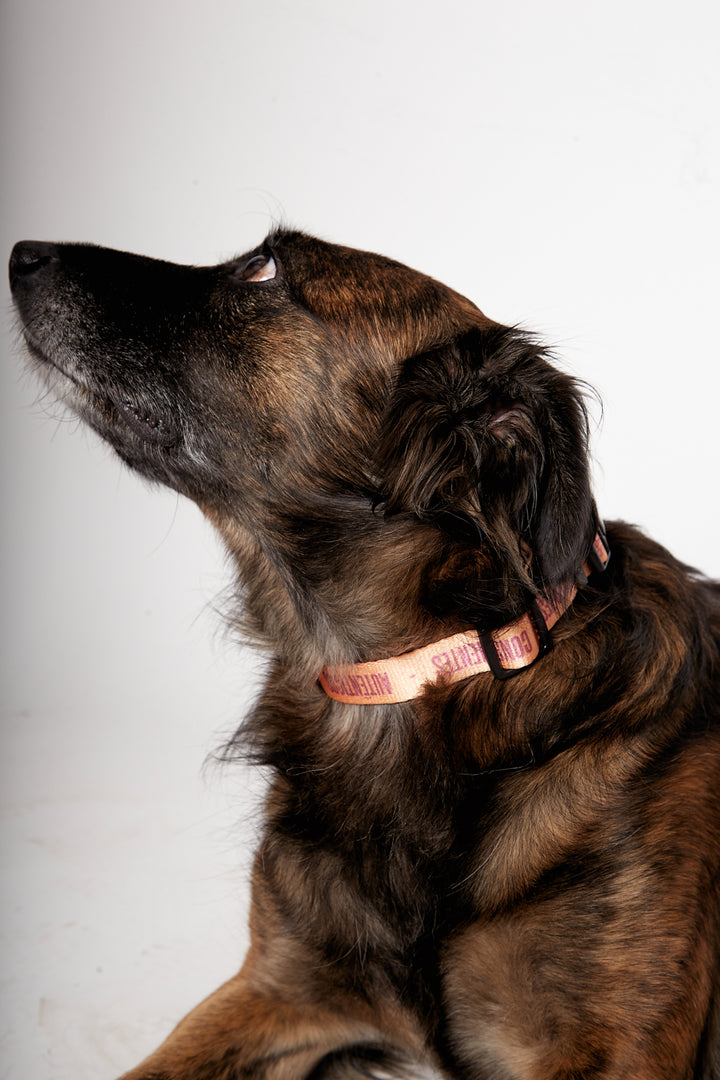 Collar Golfo Reciclado Naranjo Talla M