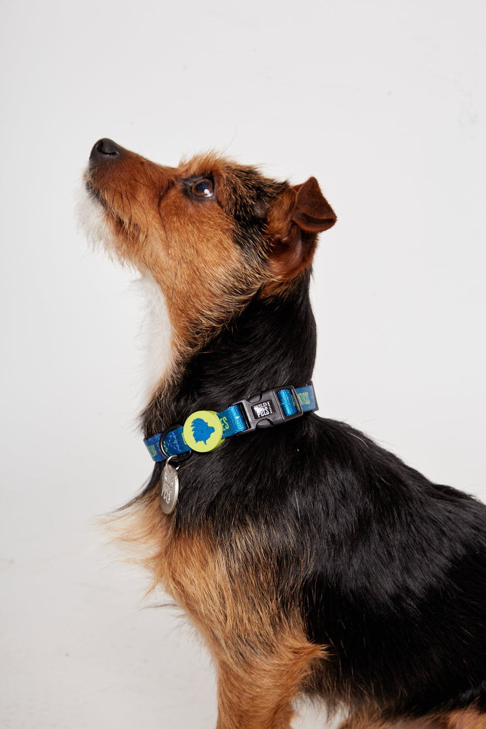 Collar Golfo Reciclado Azul Talla S