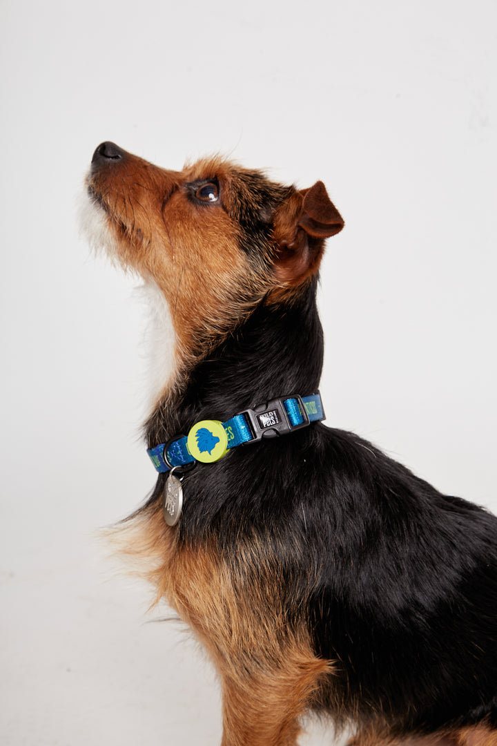 Collar Golfo Reciclado Azul Talla S | Wild Lama