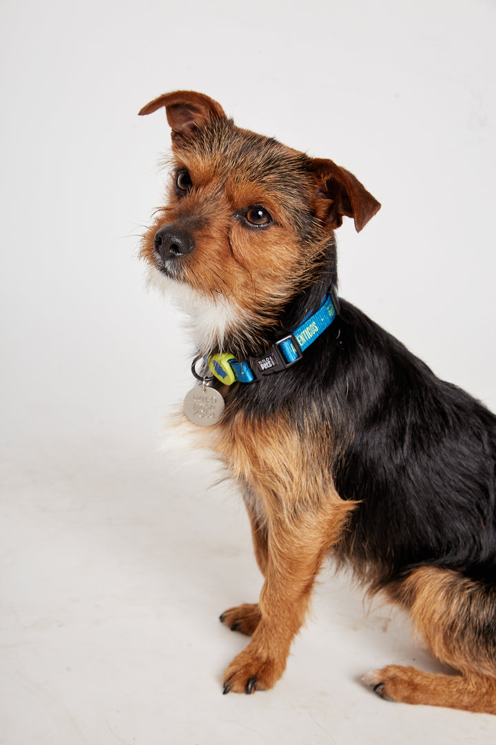 Collar Golfo Reciclado Azul Talla S