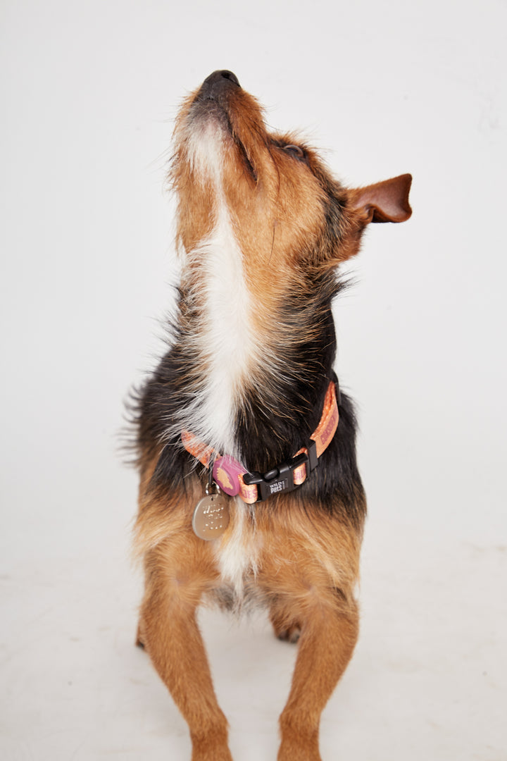 Collar Golfo Reciclado Naranjo Talla S