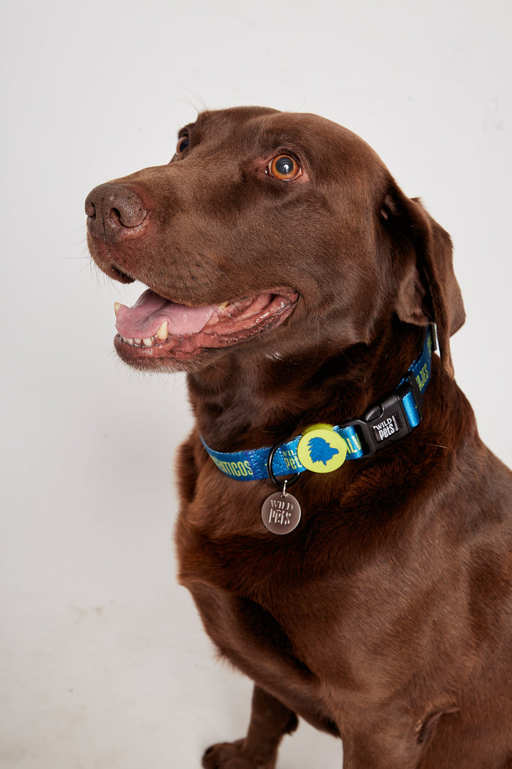 Collar Golfo Reciclado Azul Talla L