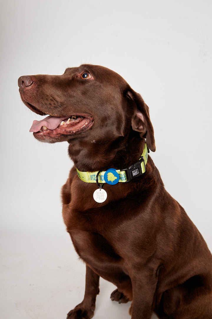 Collar Golfo Reciclado Verde Talla L