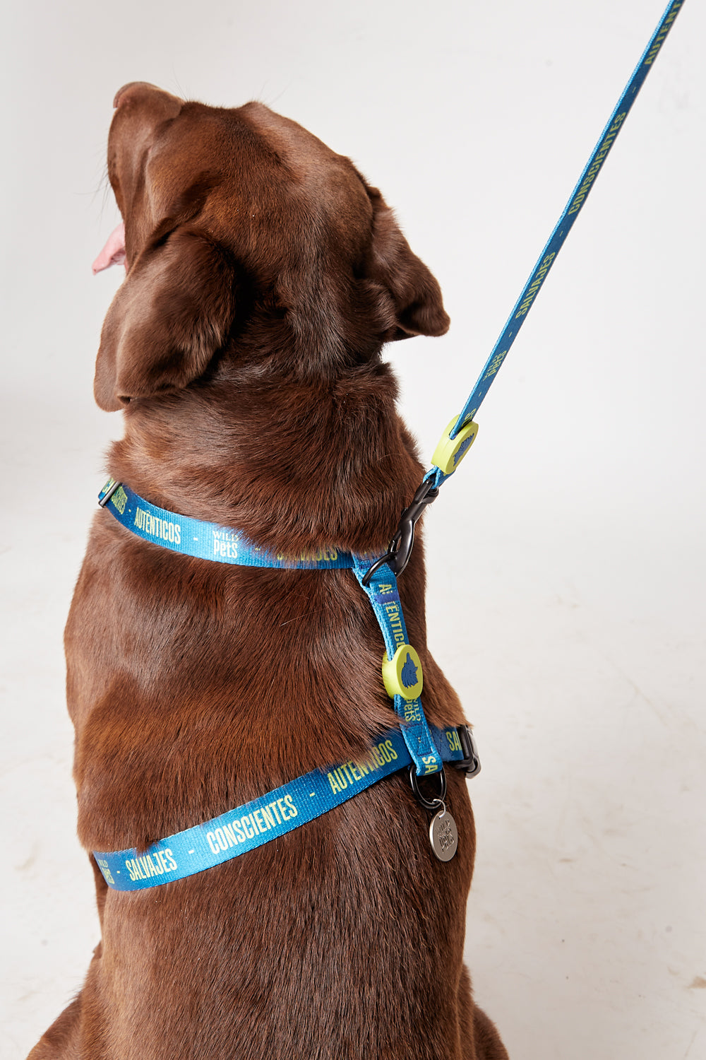 Collar Golfo Reciclado Azul Talla L | Wild Lama