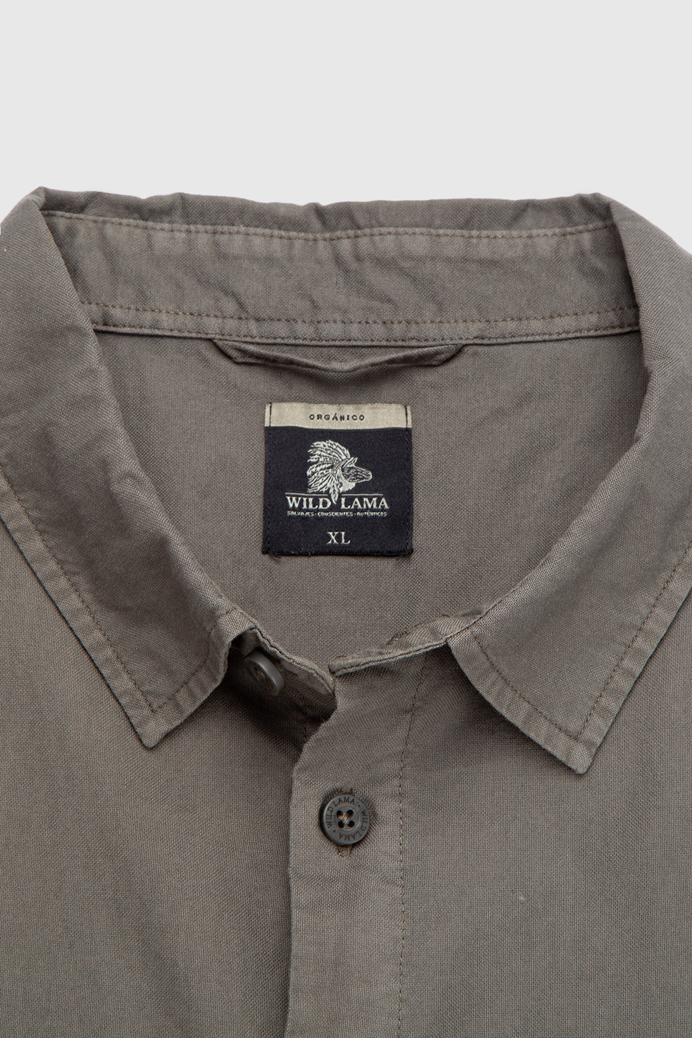 Camisa Pinco Orgánica Verde Hombre