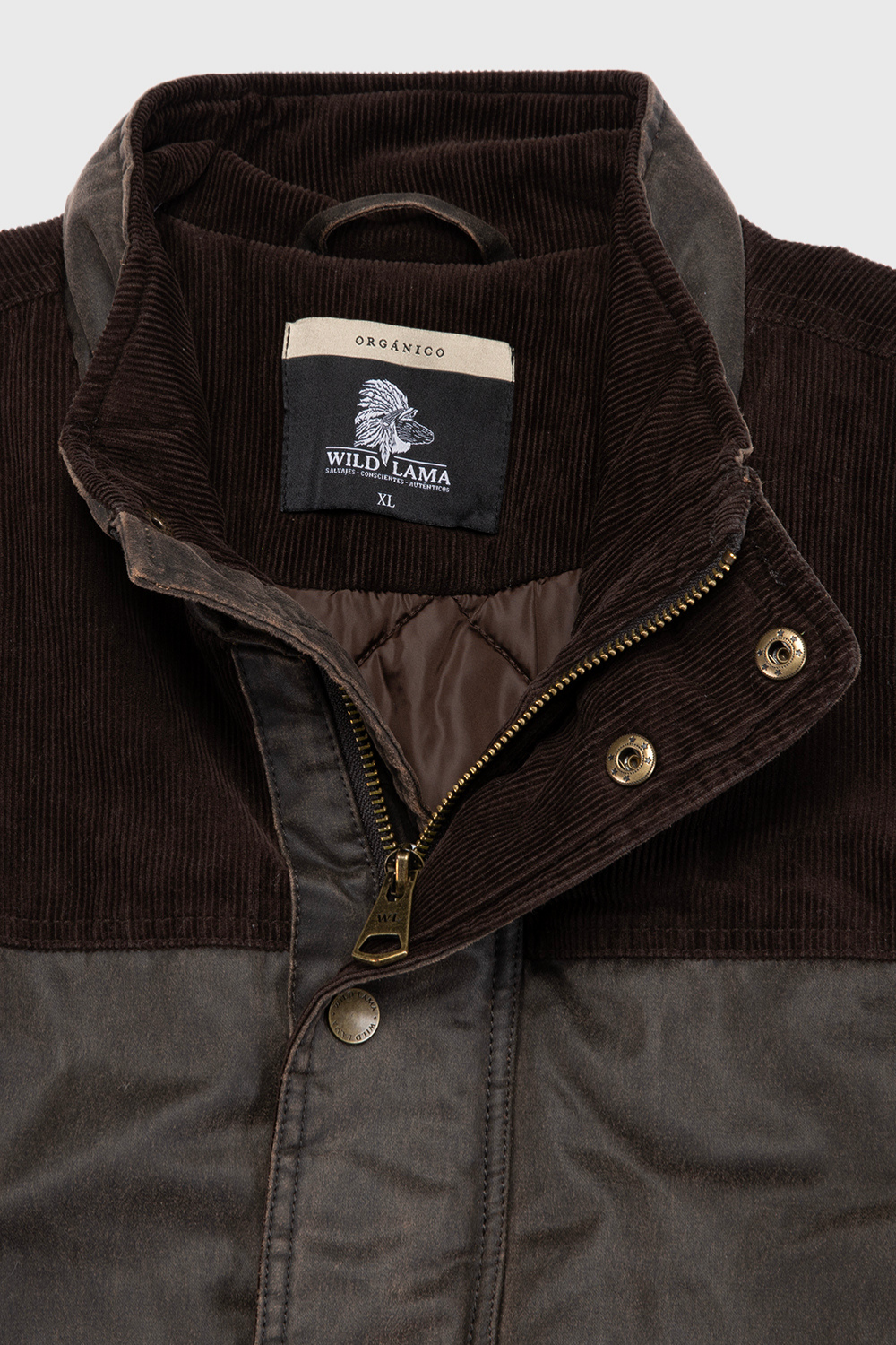 Chaqueta Thomas Orgánica Café Hombre