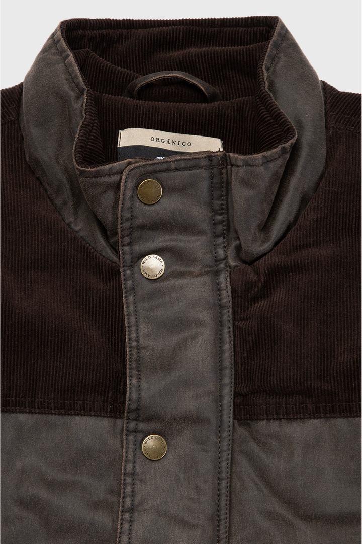 Chaqueta Thomas Orgánica Café Hombre