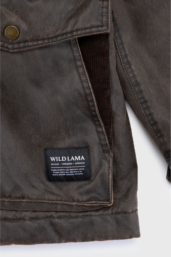 Chaqueta Thomas Orgánica Café Hombre