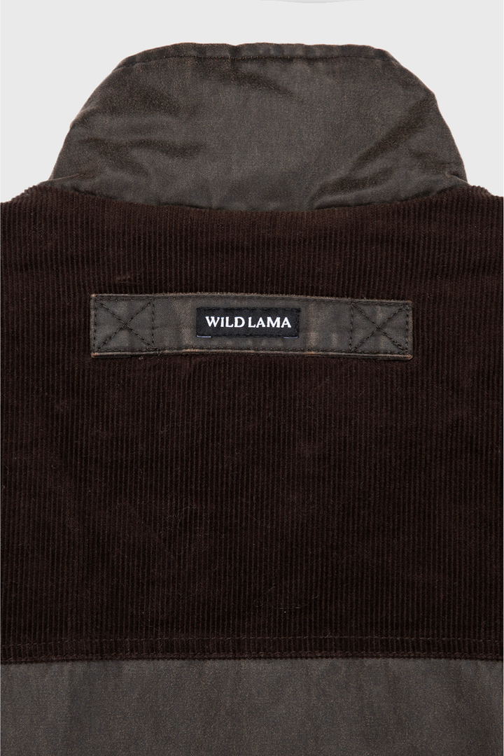 Chaqueta Thomas Orgánica Café Hombre