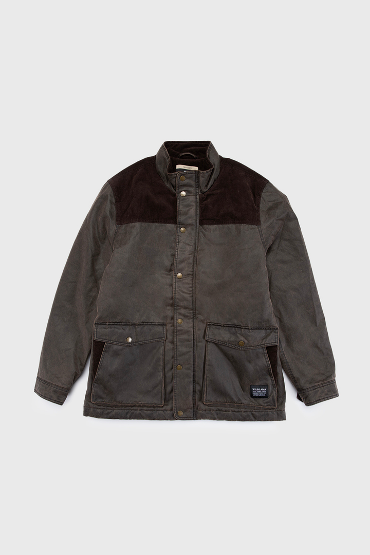 Chaqueta Thomas Orgánica Café Hombre