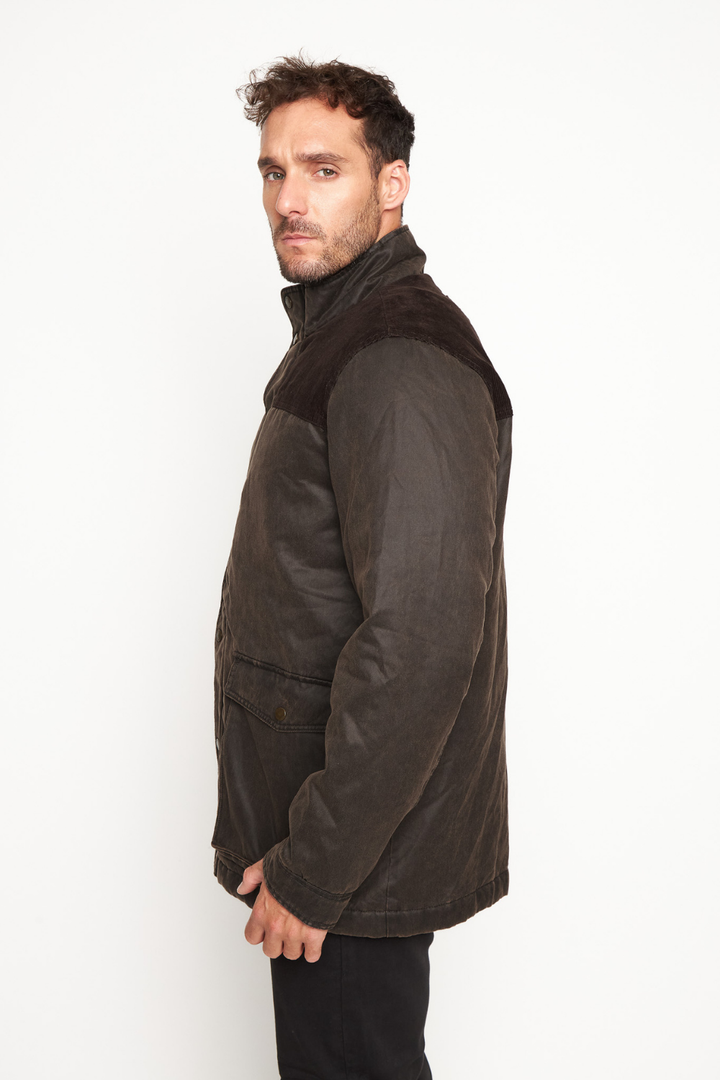 Chaqueta Thomas Orgánica Café Hombre