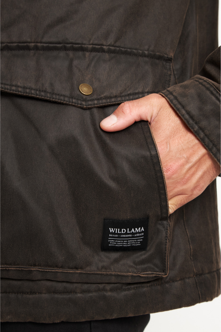 Chaqueta Thomas Orgánica Café Hombre